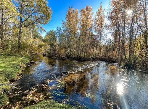 Cedar River Home Pet Friendly