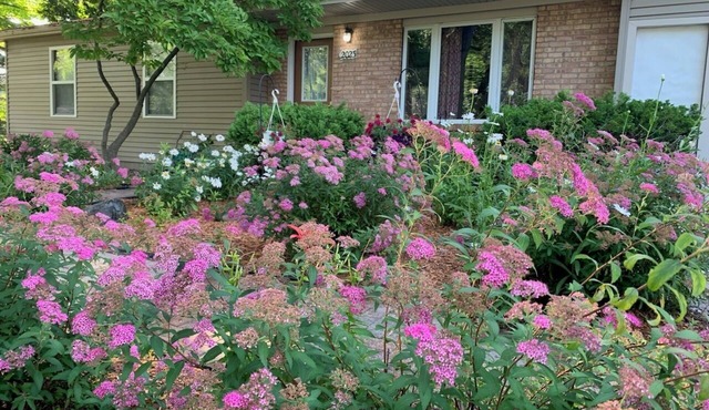 Charming 3-bedroom home in Mt Pleasant near colleges, Casino and children parks
