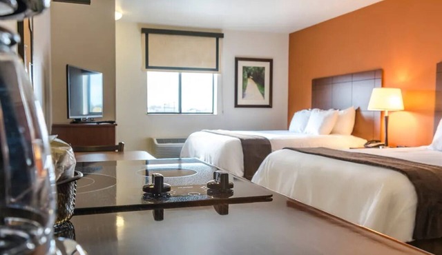 Comfortable Extended-Stay Hotel with Full Kitchens & Pet-Friendly Room