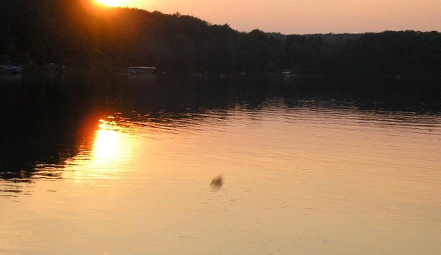 Cottage in Crystal Lake