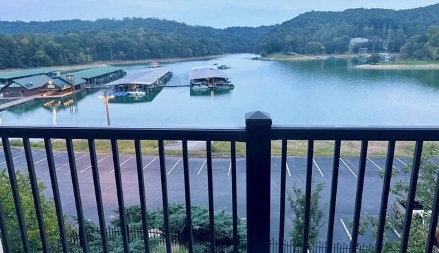Cozy 2-bedroom lake front condo in charming Andersonville withclubhouse pool,