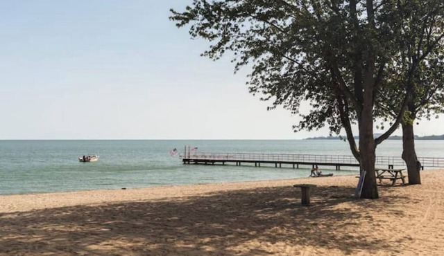 Earie Shore Cottage is a great destination for work or vacation!