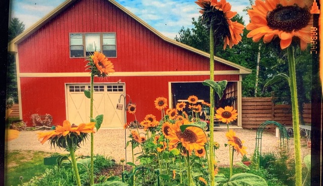 Eclectic studio just a short walk from the quaint village center and harbor in Northport
