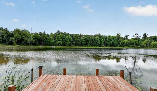 Geodome at the Lake: Hot Tub, Games, Sleeps 12!