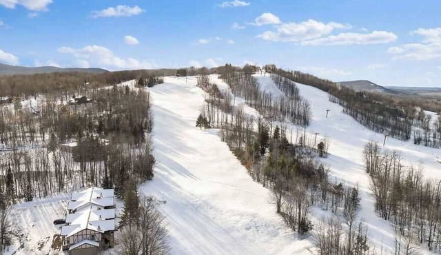 Gorgeous Winter Retreat I Alpen Villas at Powderhorn Mountain