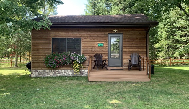 Historic 'River Cabin' On The 'Holy Waters' Of The AuSable with AC