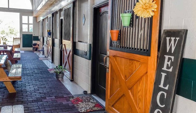 Horse Stall Suite 16 Disney = Great reviews!
