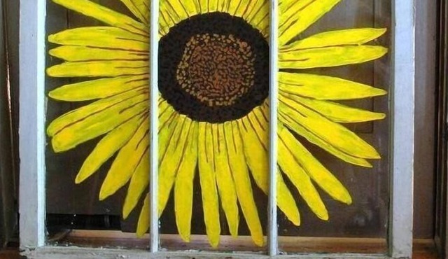 Indian Pass Sunflower