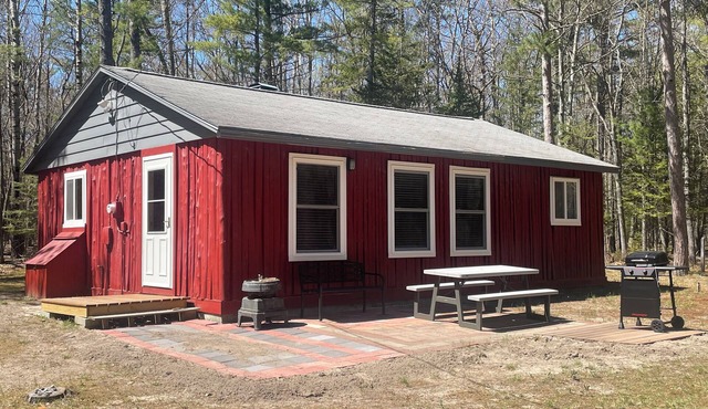 Island Getaway! Nestled in the woods with easy access to sandy beach