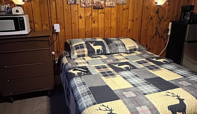 Kauffman Motel Room 1 - Up north getaway room