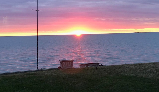 Lake Huron Beach