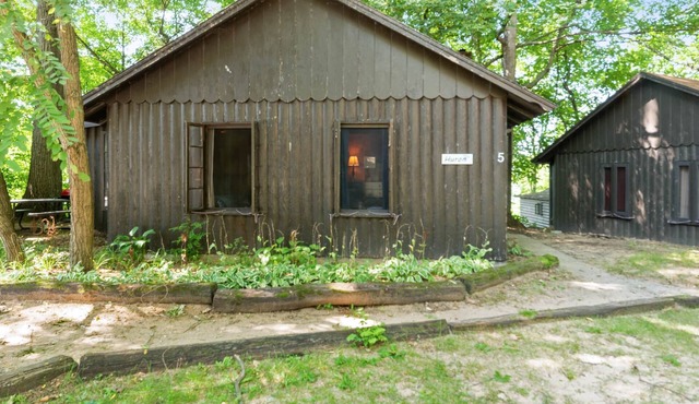 Lake Huron Log Cabin #5