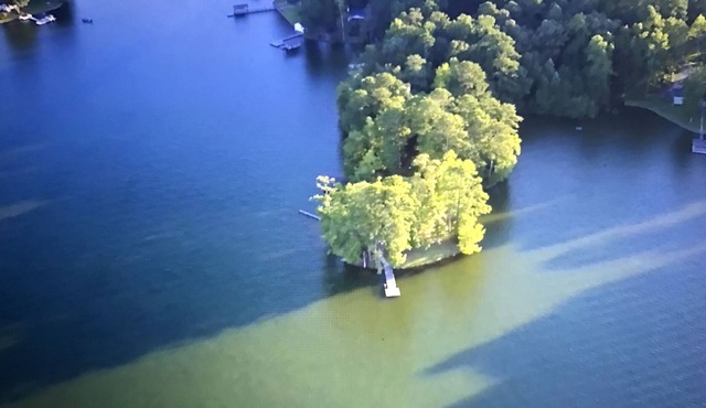 LAKE MARTIN CABIN