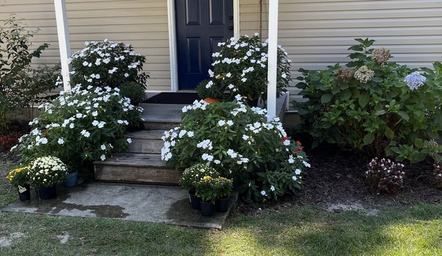 Lakeside Retreat: Boating, Fishing, and Relaxation. NO CLEANING FEES!