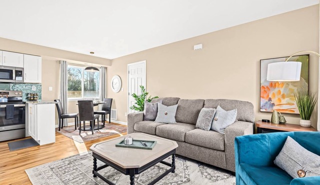 New Cozy Lower Flat in Roseville