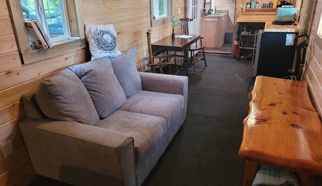 New! Robin's Nest - Cute Lakefront Tiny House! Includes lake access!