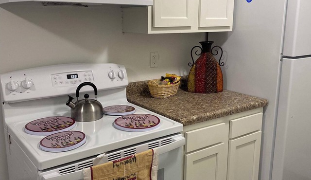 Newly Remodeled and Cozy Apartment close to MSU, Hospitals, and Entertainment!