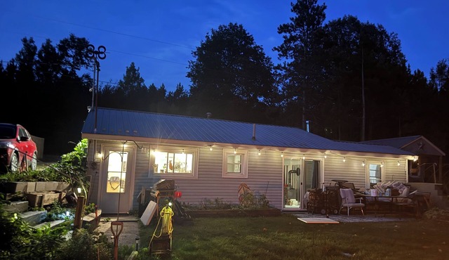 On the Lake, Lakefront Cottage, Pet Friendly, Near Ferris and CMU