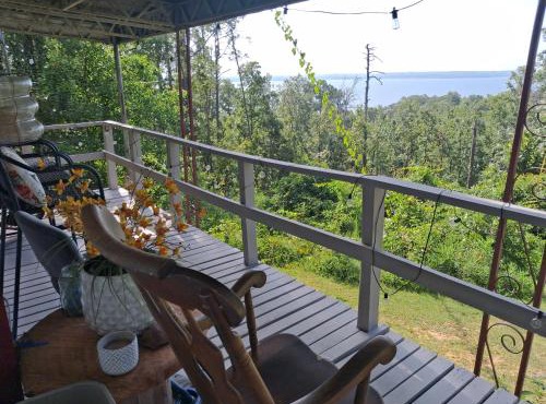 Overlooking Lake Eufaula Alabama PERFECT PRIVATE GETAWAY COTTAGE FOR COUPLES FISHERMAN-FRIENDS located in a private gated community bring the golf cart many paved roads and boat parkingt BOAT DOCK NEAR and community fishing pier and beach