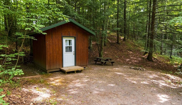 Peaceful Cabin with Comfortable Bunk Beds Nestled in the Trees near White Lake, Wisconsin