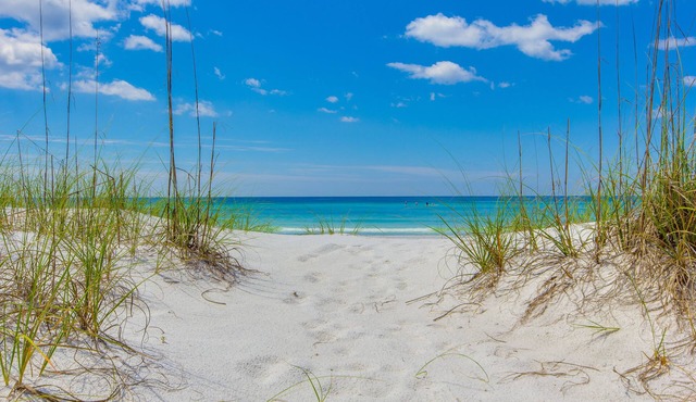 Pet Friendly ~ Outdoor Lounging Area ~ Short Walk to Beach