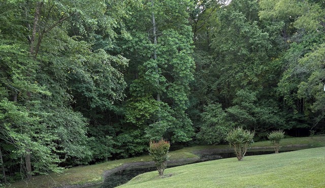 Private Cottage Retreat- Peaceful Escape w/Parking