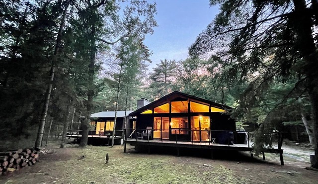 Private Wooded Retreat | Screened Porch + Firepit