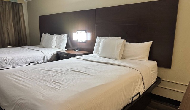 Quality Inn & Suites Tuscaloosa near University