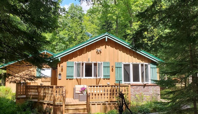 Remodeled Northwoods Lakefront Retreat- 85' of Lake Frontage on Horn Lake