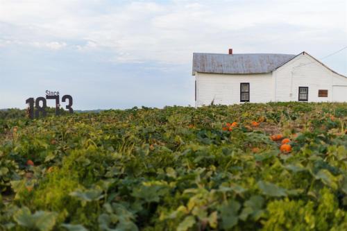 Rendelman Orchard's Farm Stay in Carbondale