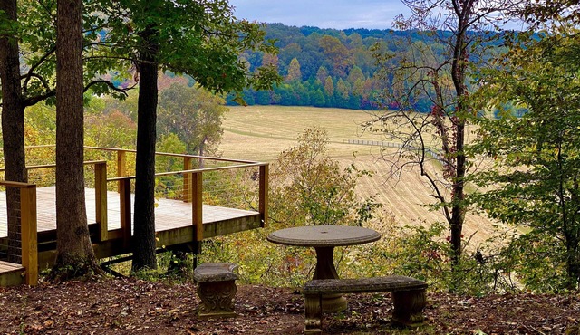 Renovated Airstream on 40 Park-like Acres in Dickson, TN, 45 Min. from Nashville
