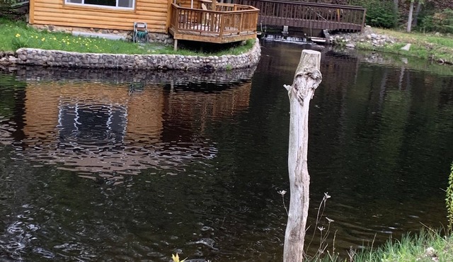 Silver creek cabin