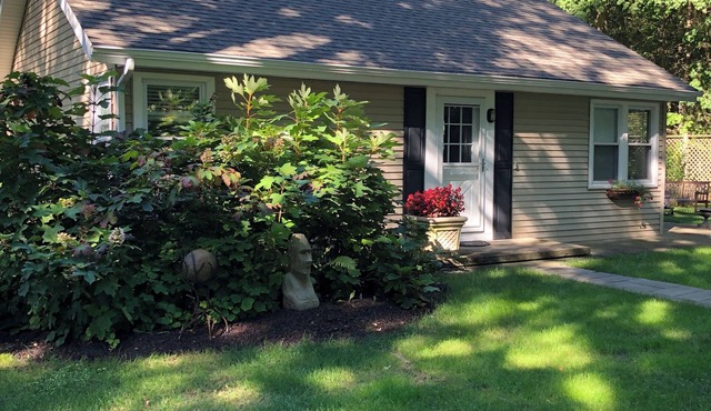Super Cute Cottage Close to Lake Michigan Beaches-Nestled in Beautiful Woods!