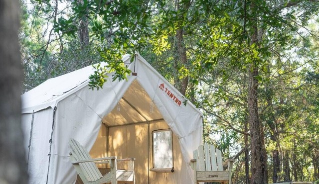 Tentrr State Park Site - Mississippi Buccaneer State Park - Woodland C - Single