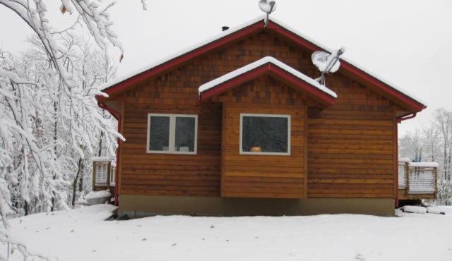 The Bear Cabin