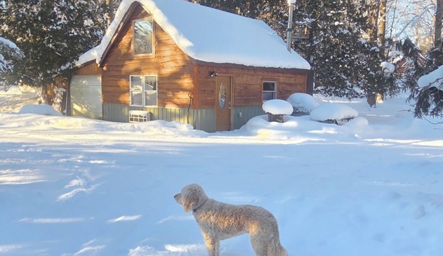 The "Bear Den" Betsie river waterfront Guest home.