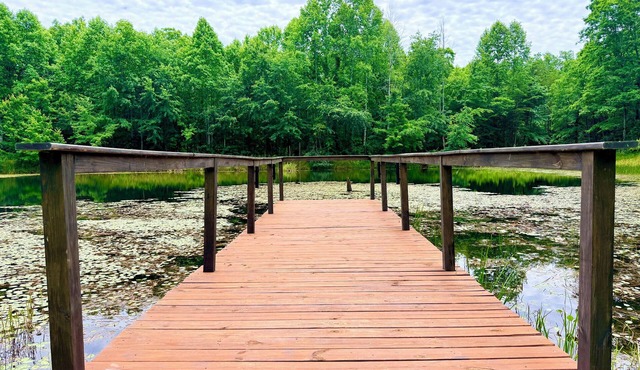 The Hemlock on the Lake