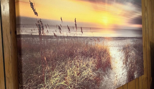 Watch Beautiful Sunrises on Mullett Lake