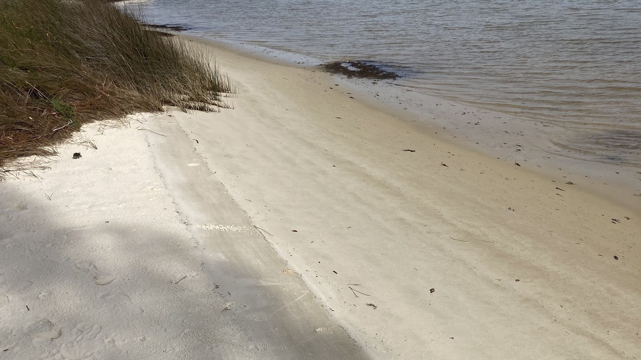 Photo of Others in Navy Point
