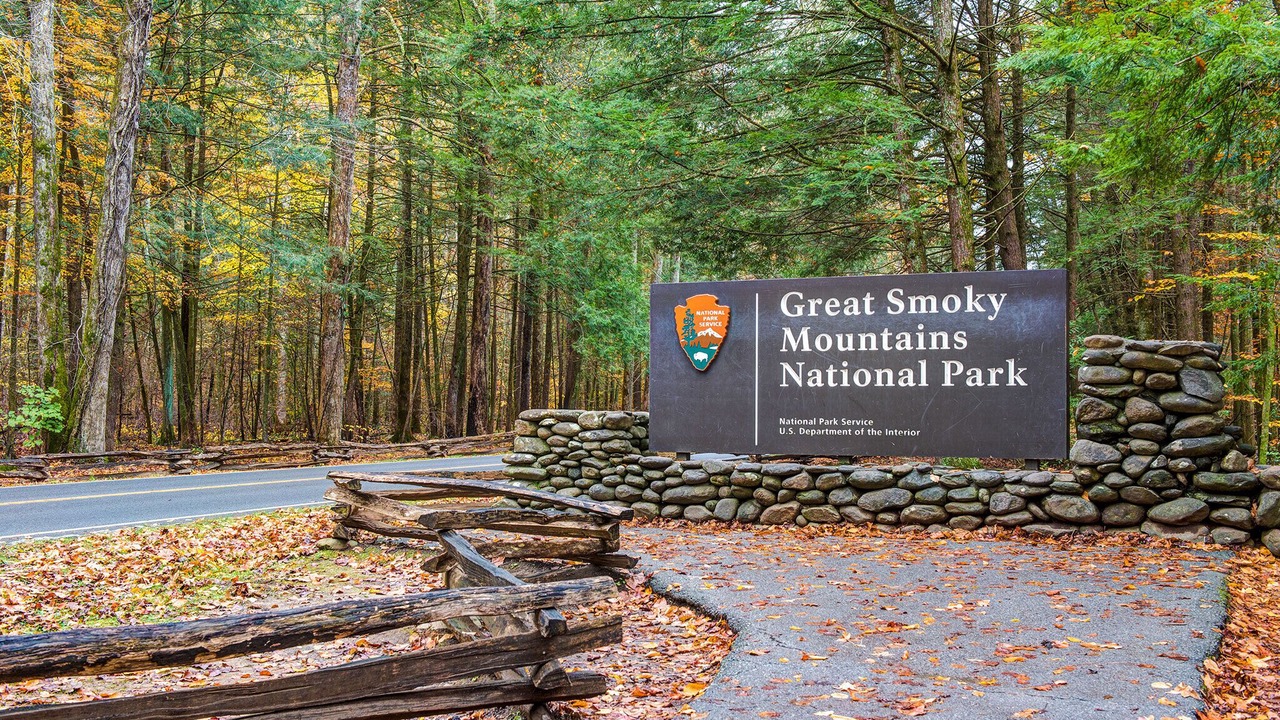 Photo of Others in Black Bear Falls