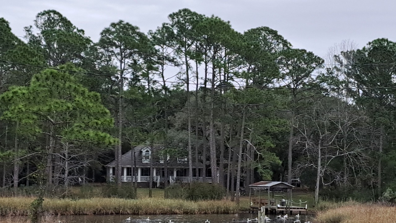Photo of Outdoor in Foley