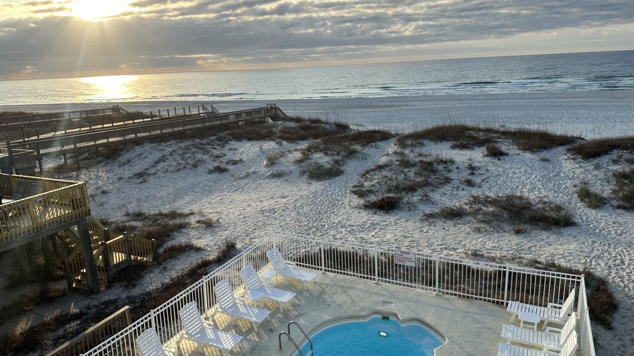 Photo of Others in Gulf Shores