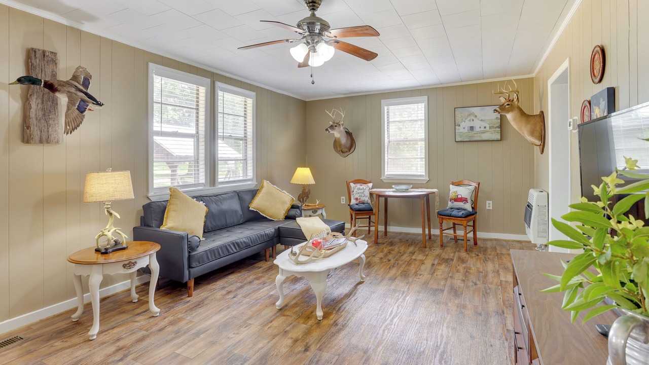Photo of Livingroom in Lineville
