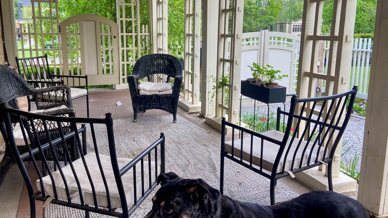 Photo of Patio Balcony in Detroit