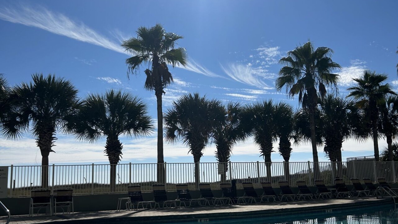 Photo of Outdoor in Orange Beach