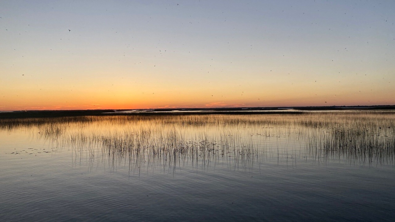 Photo of Outdoor in Anchorville