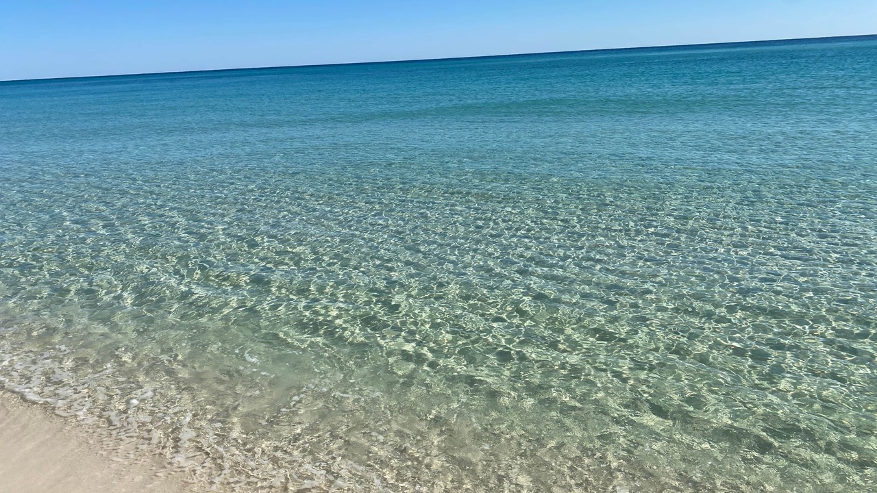 Photo of Others in Pensacola Beach