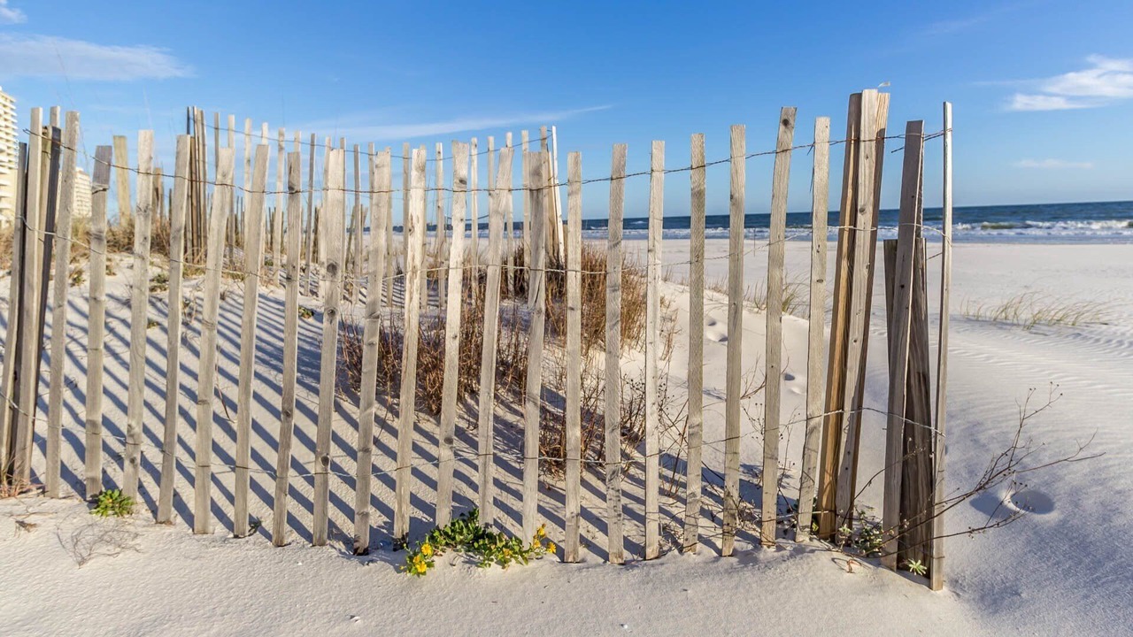 Photo of Others in Gulf Shores