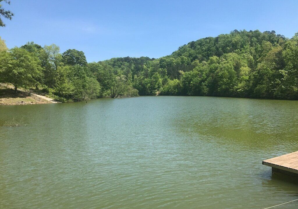 Photo of Others in Crane Hill
