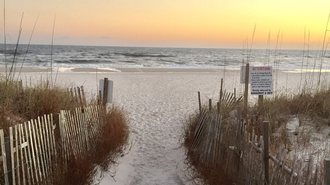 Photo of Others in Orange Beach